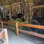 IMG_7855 (May 28, 2024)